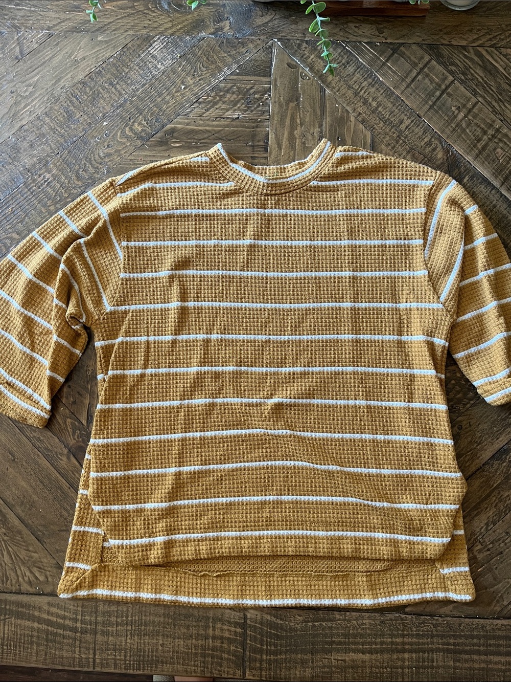 dip Mustard and White Striped Waffle Knit Sweatshirt